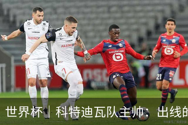 世界杯｜科特迪瓦队主帅：出线的关键在于团队成长