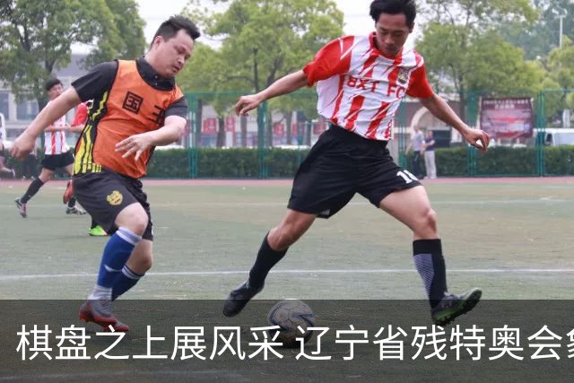 棋盘之上展风采 辽宁省残特奥会象棋比赛在葫芦岛开赛